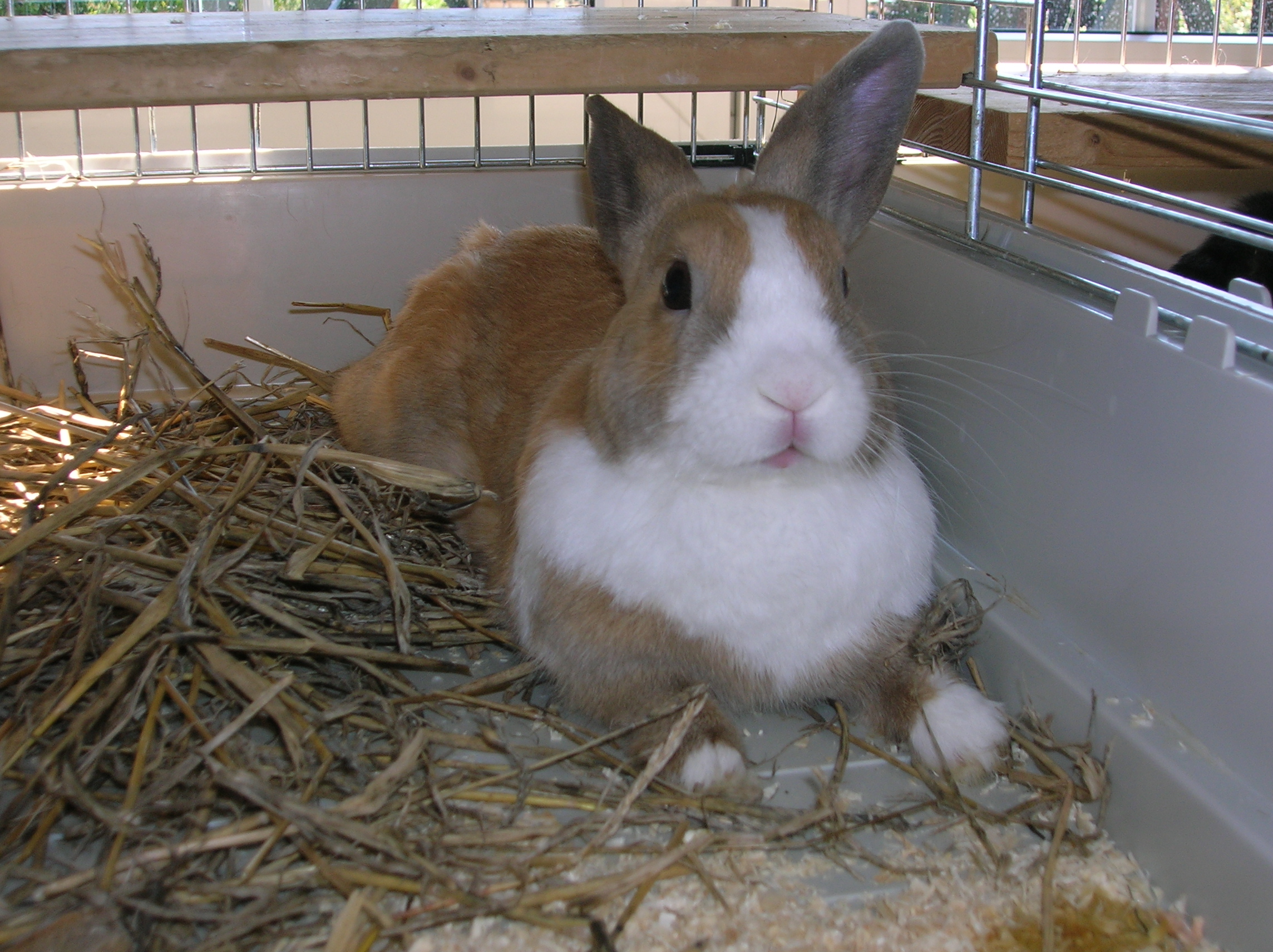 Ušáci říjen 2006 009.jpg