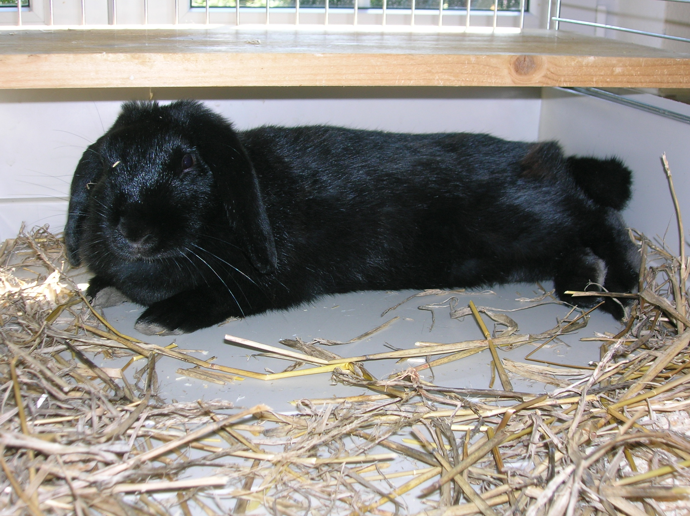 Ušáci říjen 2006 006.jpg